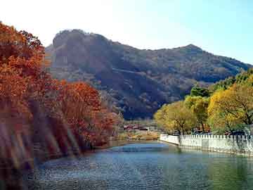 澳门二四六天天彩图库，废棉